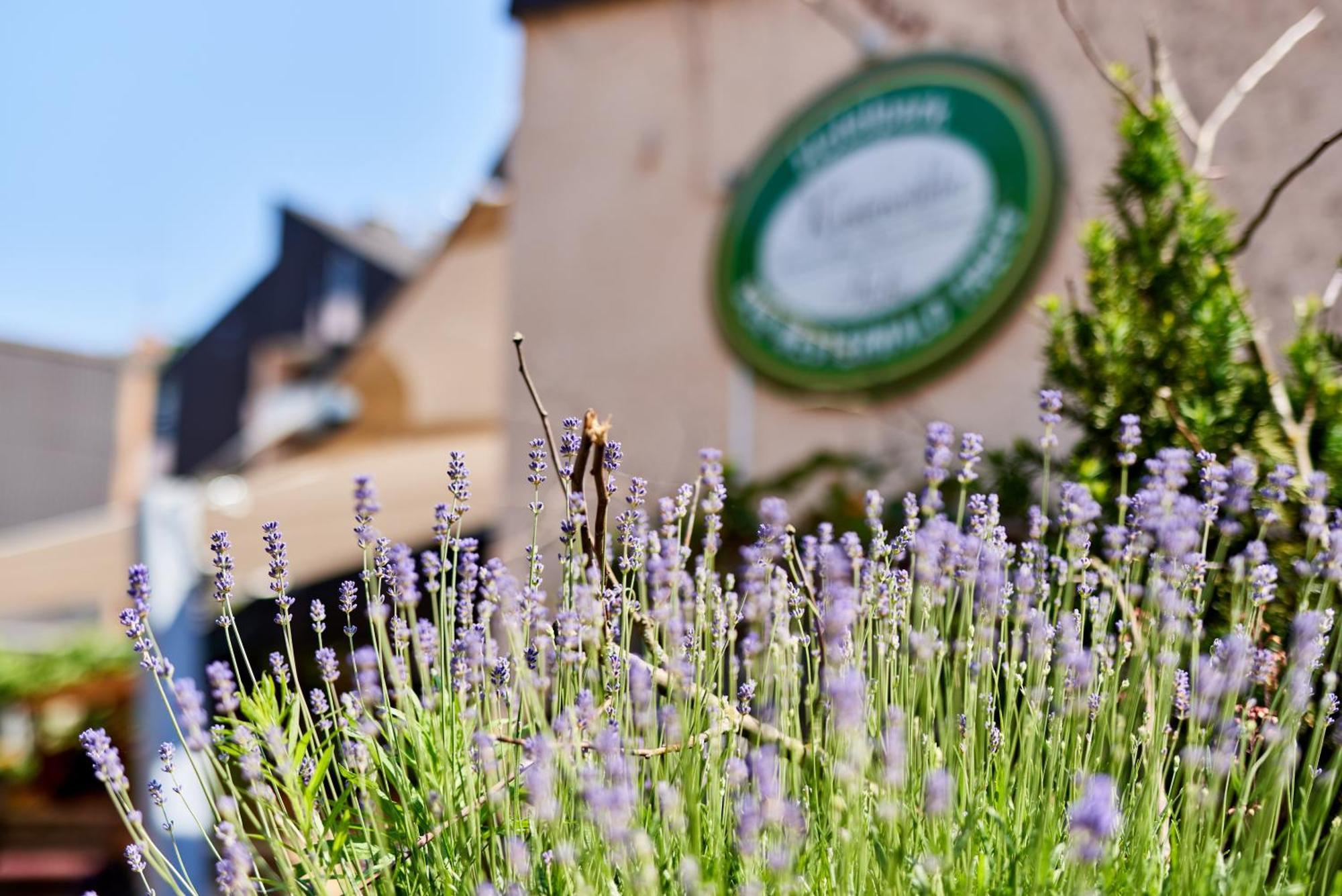 Hotelpark Der Westerwald Treff Oberlahr Экстерьер фото
